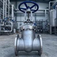 Vanne à opercule 2"-12" DN50-DN350 316L/304/CF8M/CF3M/Duplex 2205 Classe 150-300 à brides OS&Y