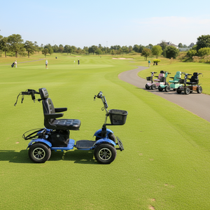 Carrito de <span class=keywords><strong>Golf</strong></span> Eléctrico J08/Buggy para 1 Persona con Discapacidad, Motor de 1000W, Controlador Curtis, Marco de Acero, Batería de Litio de 24v, 4 Ruedas, 14KM/H - Product Image 2