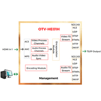 Codificador IPTV con Salida en Bucle para Transmisión de Video NDI HX SRT HLS H.265 HEVC H.264, Compatible con Facebook y YouTube