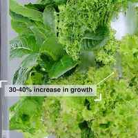 2025 le plus populaire hiver robuste maison intelligente agriculture jardin arrière-cour résistant aux intempéries Portable cadre en métal Mini maison verte tente