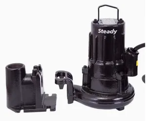 ปั๊มน้ำไซเลม รุ่น steady1305 1.2KW 1310 1.7 2.4 1315 4.4 - Product Image 4