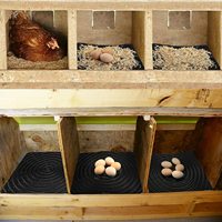 ZZ LMA 07 Coussinets pour nichoir à poules, réutilisables, pour la ponte des œufs, fournitures pour canards, accessoires pour poulaillers, litière