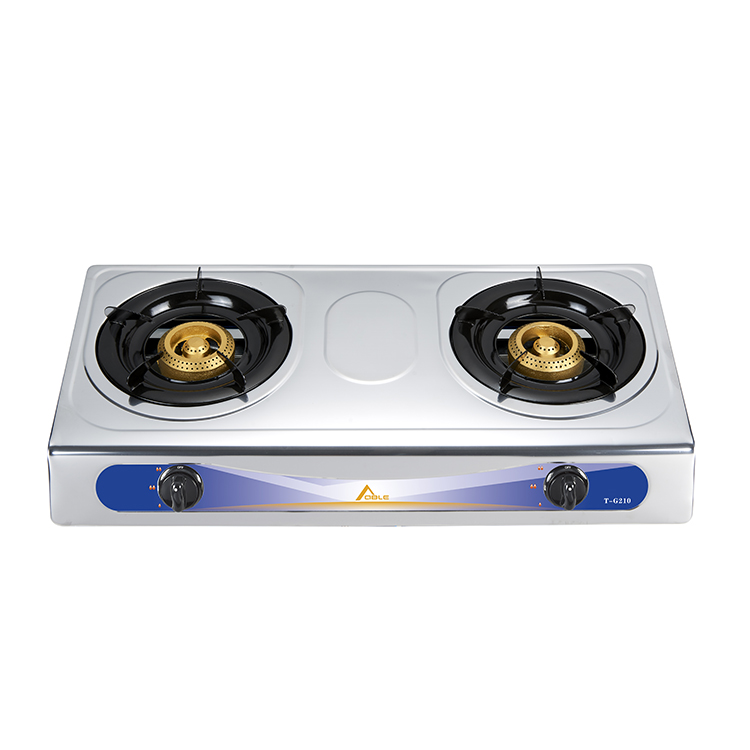 SS double burner gas stove