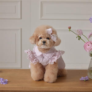 Clássico Lady Dress do fabricante para cães Gatos Corpo pequeno Teddy Bichon Primavera Verão Algodão Pet Roupas Lace Flying Sleeves - Product Image 2