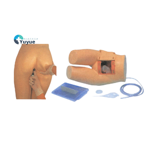 Mannequin médical de simulateur d'examen anorectal en PVC pour la <span class=keywords><strong>formation</strong></span> d'infirmière et d'hôpital aidant la <span class=keywords><strong>formation</strong></span> de lavement de défécation - Product Image 1