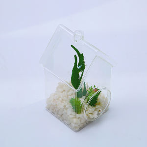 Transparente Hausform Glasvase <span class=keywords><strong>Terrarium</strong></span> mit Loch - Product Image 4