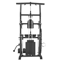 Appareil d'entraînement assisté pour tractions, en acier, multifonctionnel, pour fitness à domicile, machine d'entraînement à barres parallèles, unisexe