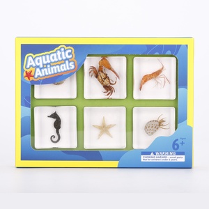 Bán buôn nhựa trong suốt côn trùng mẫu vật giáo dục thực Bọ Cánh Cứng Bọ Cạp nhện cho trẻ em 'mầm non giảng dạy Tài Nguyên - Product Image 4