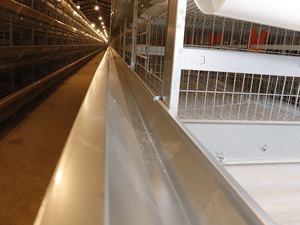 Automatisation de <span class=keywords><strong>poulailler</strong></span> pour les cages à poules pondeuses - Product Image 6