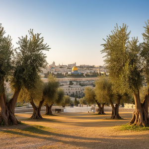 Camiseta de manga larga hebreo-juda con diseño de Shalom Peace - Product Image 3
