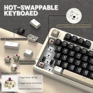 <span class=keywords><strong>Teclado</strong></span> Mecánico ATTACK SHARK X87 Tri-Modo, 87 Teclas, Compacto TKL, Gasket, Intercambiable <span class=keywords><strong>en</strong></span> Caliente, Personalizable, RGB Completo, Venta al Por Mayor - Product Image 5