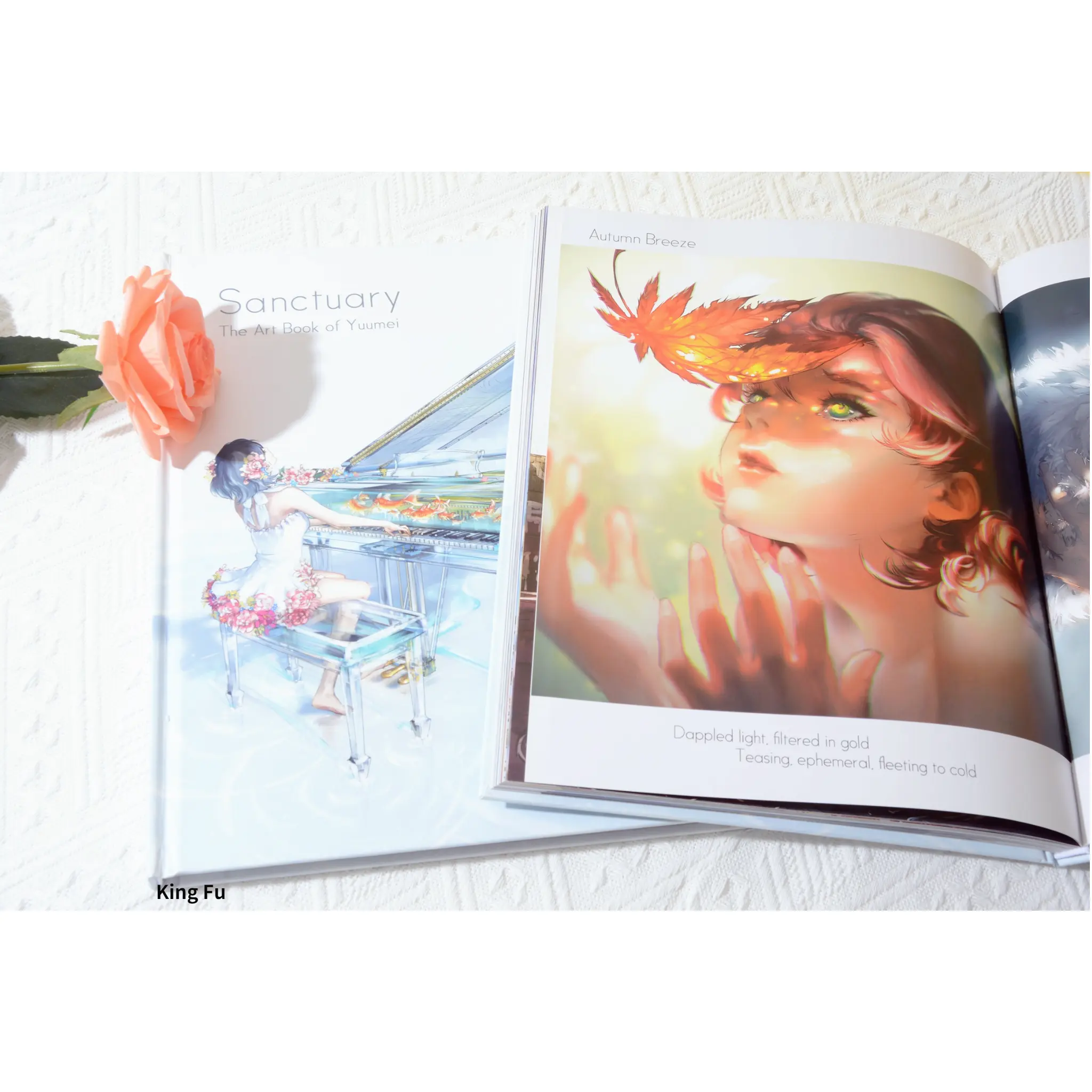 Libri fotografici personalizzati per libri d'arte stampa rilegatura con copertina rigida con stampante per libri con giacca antipolvere in cina