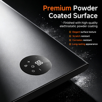 Calentador Eléctrico de Cristal de Carbono de Bajo Consumo, Montado en Pared, con Certificación CE IP44, Personalizable OEM, Calentador Infrarrojo Independiente para el Hogar