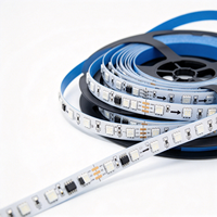 Lampu Strip LED RGB WS2811 24V Pengubah Warna Gradasi, IC Kontrol Eksternal SM16703, Lampu Strip Fleksibel SMD Warna Penuh