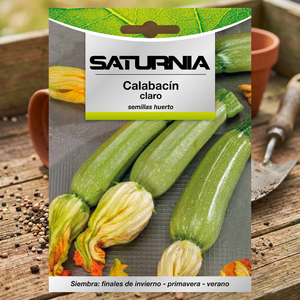 Graines de courgette légères (5 grammes) - Product Image 3