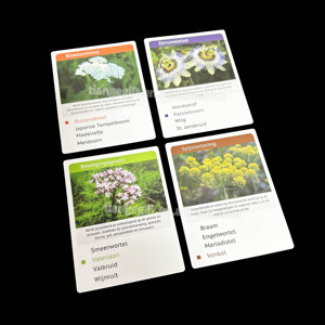 Set di Flashcard Personalizzabili con Coperchio e Base Laminati Lucidi per Piante e Fiori, per <span class=keywords><strong>Imparare</strong></span> e Giocare - Product Image 6