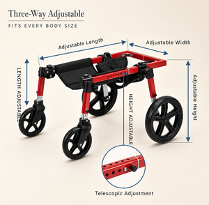 Chariot de mobilité pliable et réglable pour chien, fauteuil roulant pour animaux de compagnie de taille moyenne et grande, support de marche stable - Product Image 2