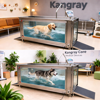 Tapis roulant aquatique pour chiens, hydrothérapie canine à domicile, tapis roulant aquatique pour grands chiens