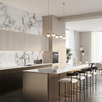 Meuble de cuisine modulaire contemporain en bois, PVC et MDF avec finition acrylique et évier intégré pour appartement, villa, mobilier de salle à manger, écologique