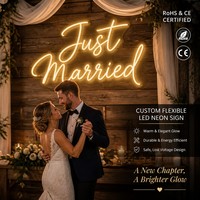 Panneau néon « Just Married », toile de fond de mariage, enseignes LED personnalisées pour événements, fournitures de fête, livraison internationale gratuite, livraison directe