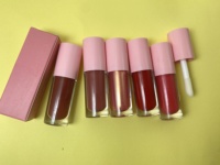 Vente en gros de brillant à lèvres en vrac personnalisé de marque privée personnalisé brillant à lèvres mat liquide rouge à lèvres étanche