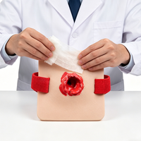 Modelo Anatómico de PVC para Simulación de Heridas Traumáticas, Módulo de Práctica para Entrenamiento en Escuelas de Medicina - Maniquíes de Primeros Auxilios para Hemostasia