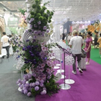 Arche de porte en fer en forme de corne de mouton pour décoration florale de mariage sur pelouse, décorations de mariage