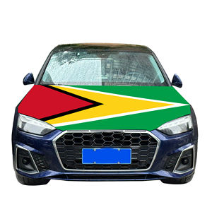 Couverture <span class=keywords><strong>de</strong></span> capot <span class=keywords><strong>de</strong></span> voiture nationale abordable drapeau Guyana couverture <span class=keywords><strong>de</strong></span> moteur <span class=keywords><strong>de</strong></span> voiture drapeau vente directe d'usine tissu polyester - Product Image 5