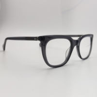 Nouvelle Arrivée Montures de Lunettes Optiques Unisexe Style Œil de Chat Colorées, Lunettes de Mode en Matériau TR90, Qualité 100% Garantie