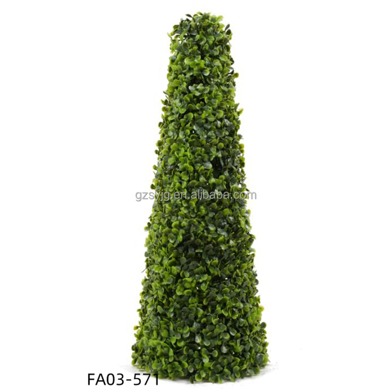 56cm