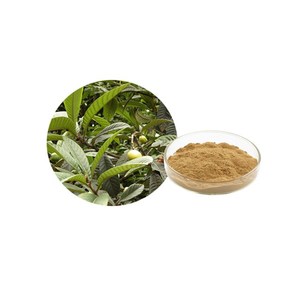 ZD Venda Quente Néspera Deixa Extrato Em Pó 10:1 Folha 20% Ácido Ursólico - Product Image 1