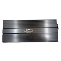 Amplificateur de voiture mono professionnel YIYELANG 1CH 3000W/5000W classe D avec crossovers pour l'audio automobile - Vente chaude aux États-Unis