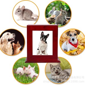 Wooden Pet Urn Rectangular <b>Photo</b> Frame Durable Multipurpose <b>Storage</b> <b>Box</b> for Cat Dog - Product Image 3