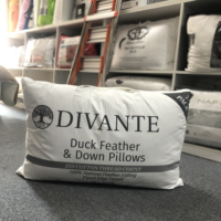 OEM Big-Order-Service für weißes Rechteck Daunen Gänse ente Feder kissen Flauschiges und bequemes Baumwoll polyester in Standard größe