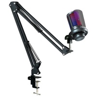 OEM Usine Streaming Podcast Condensateur Professionnel Mic Stand USB RGB Microphone Gaming pour Ordinateur Portable PC PS4 PS5