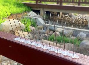 Spuntoni Anti-Uccelli in Acciaio Inox con Base in PC, 25CM 33CM 48CM, per Controllo Animali e Repellente per Piccioni - Product Image 5