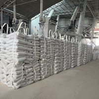 Poudre de gypse blanc de haute pureté en gros, qualité construction, pour plâtre mural, 20 kg