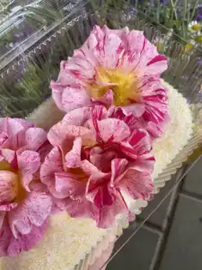 सूखने वाले फूल सिलिका जेल डेसिकैंट फूल सुखाने वाली अच्छी कीमत गर्म बिक्री चीन फैक्टरी