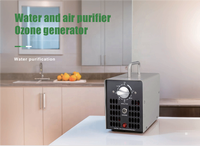 Générateur d'ozone portable 2400 mg/h pour fruits, légumes et viande, purificateur d'eau à l'ozone avec tube en silicone et pierres à ozone
