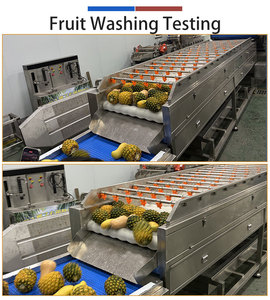 Fengxiang Fruit & Vegetable Washing <b>Drying</b> Grading Line Customizable for Various Sizes Automatic Processing <b>Equipment</b> - Product Image 4