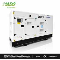 Groupe électrogène diesel silencieux 200 kW 250 kVA 220 kW 275 kVA 300 kVA de secours, avec cabine, triphasé 50 Hz, Guangzhou Foshan