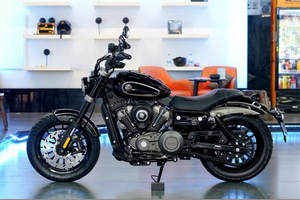 BENDA CHINCHILLA 250 - Product Image 1