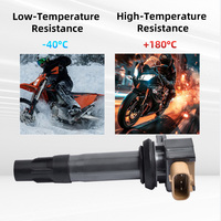 Bobine d'allumage haute tension pour RYKER - RALLY - 900 ACE RYKER 600 900 ACE RYKER RALLY 900 SPYDER F3