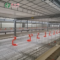 Mangeoire automatique pour poulets bon marché Équipement d'élevage de volaille Batterie pour poussins Cage pour poulets de chair pour 10000