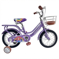 Sepeda Anak SY New Style 12 14 16 18 Inch untuk Anak Perempuan 12 Tahun Warna Pink Bisicleta Sepeda Anak