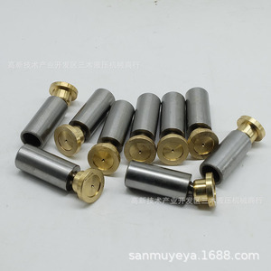 Accesorios para Bomba de Pistones Axiales Luosheng 25CY14-1B, Deslizador de Pistón de Acero Inoxidable, Piezas Hidráulicas - Product Image 2