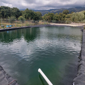 Membrane d'étanchéité en HDPE, revêtement de barrage, géomembrane en HDPE pour l'étanchéité <span class=keywords><strong>des</strong></span> toitures, <span class=keywords><strong>des</strong></span> terrasses, <span class=keywords><strong>des</strong></span> fondations de bâtiments, protection contre l'humidité - Product Image 4