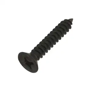 China Hochwertig und bestseller 2&quot; 8mm Torx-Reinigungskopf schwarz Schraube Stahl Holz mit Holz