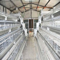 Cages à volailles entièrement automatiques à bas prix pour l'élevage avicole