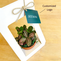 Boîte d'emballage carrée en papier kraft de couleur naturelle écologique pour fleurs et plantes vertes - Cajas Para Flores Personalizadas